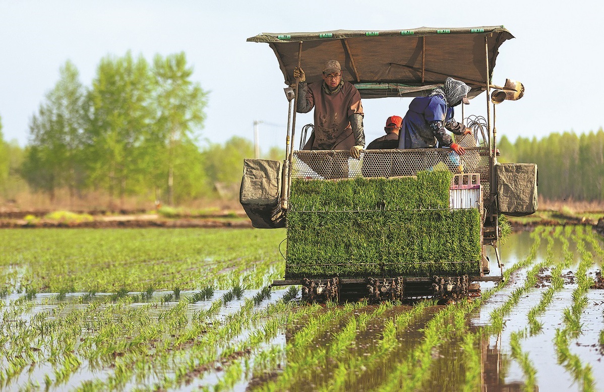 Heilongjiang е насочен към селскостопанската продукция, доходите